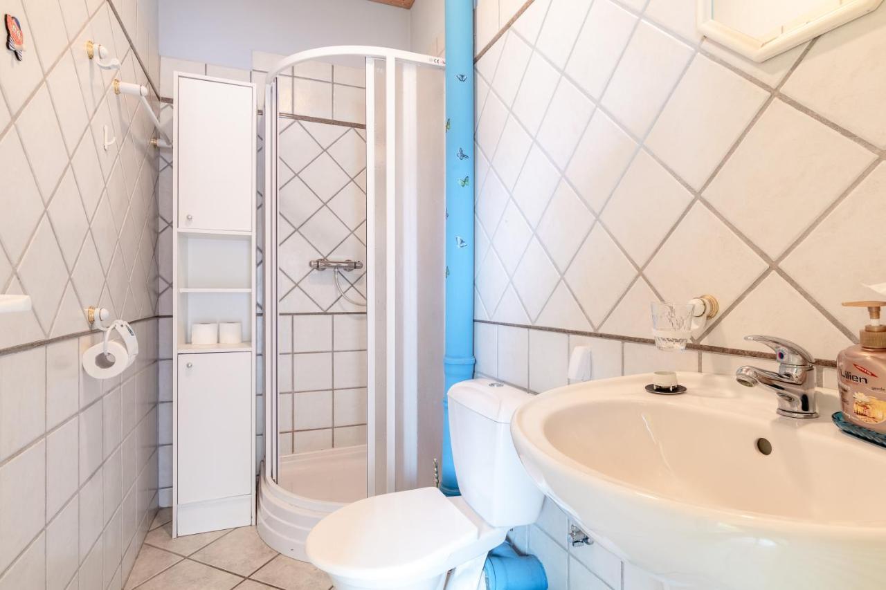 Farma Slunecny Dvur Apartmany A Family Stany Strecha Pod Strechou Hermanuv Mestec エクステリア 写真